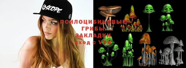 скорость Бородино