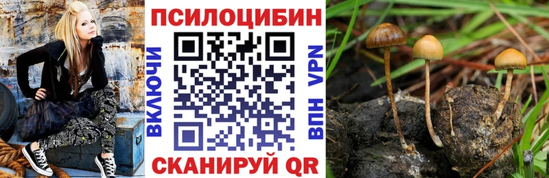 Галлюциногенные грибы прущие грибы  Старица 